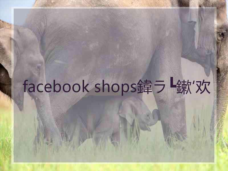 facebook shops鍏ラ┗鏉′欢