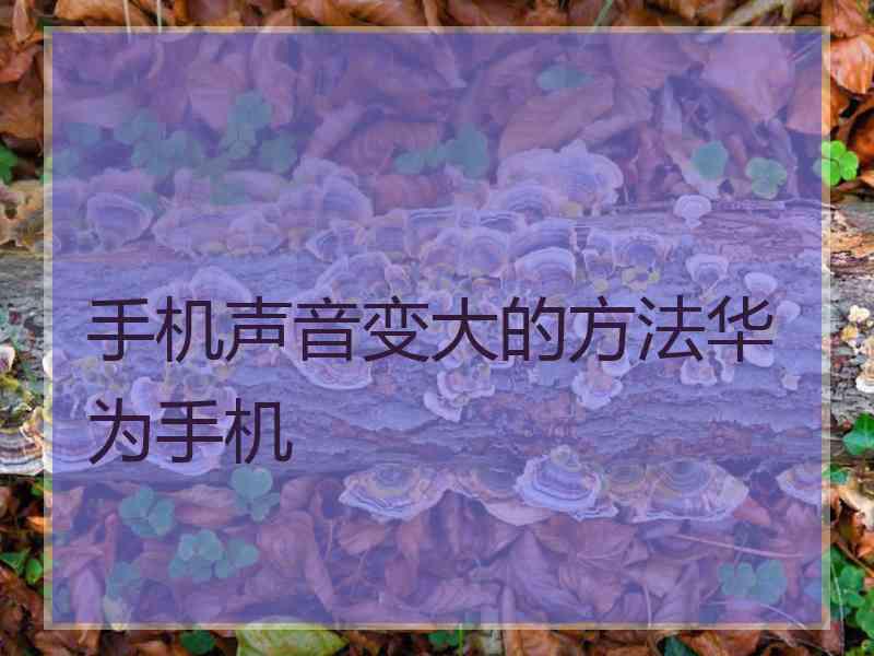 手机声音变大的方法华为手机