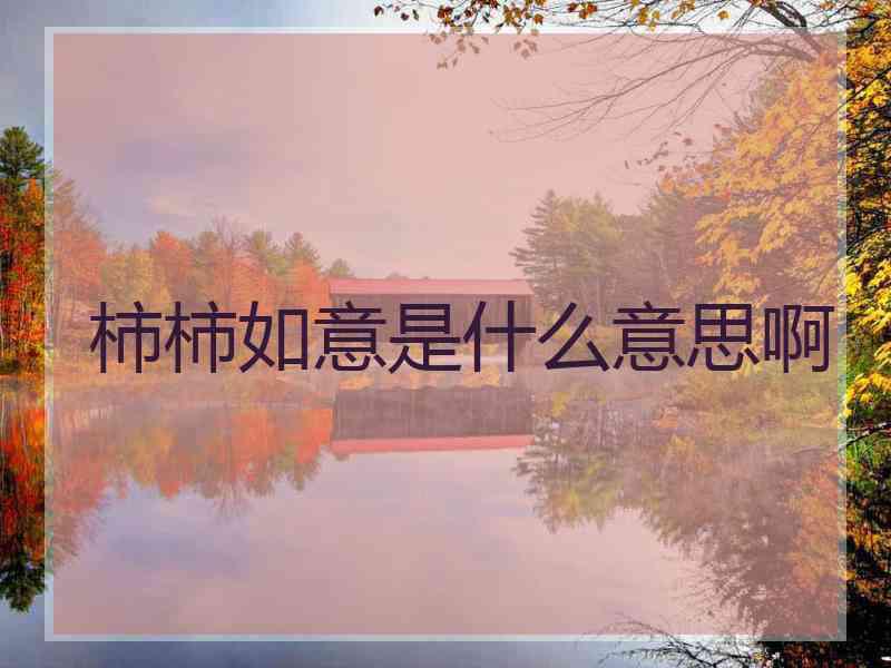 柿柿如意是什么意思啊