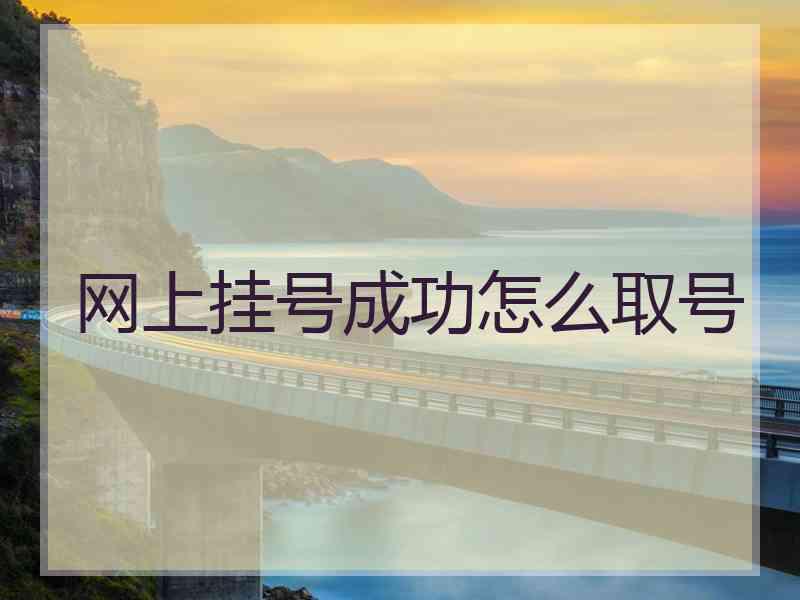 网上挂号成功怎么取号