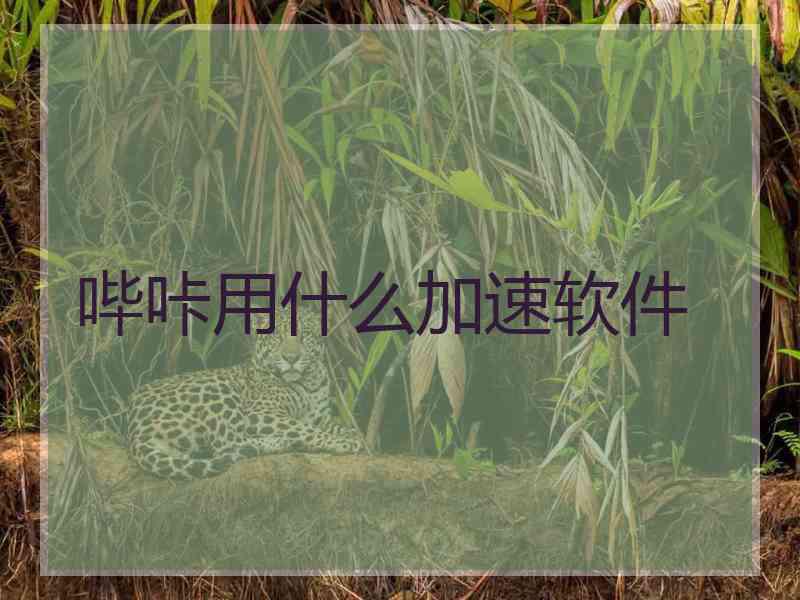哔咔用什么加速软件