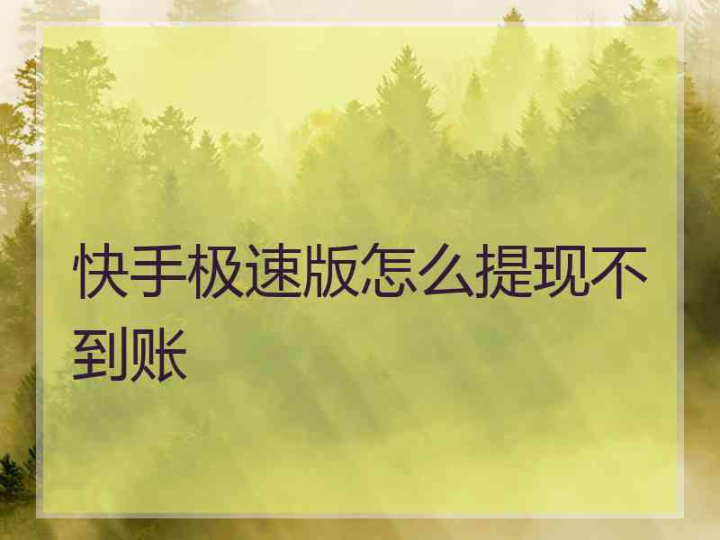 快手极速版怎么提现不到账