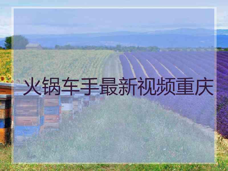 火锅车手最新视频重庆