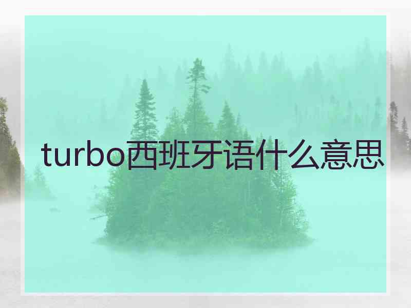 turbo西班牙语什么意思
