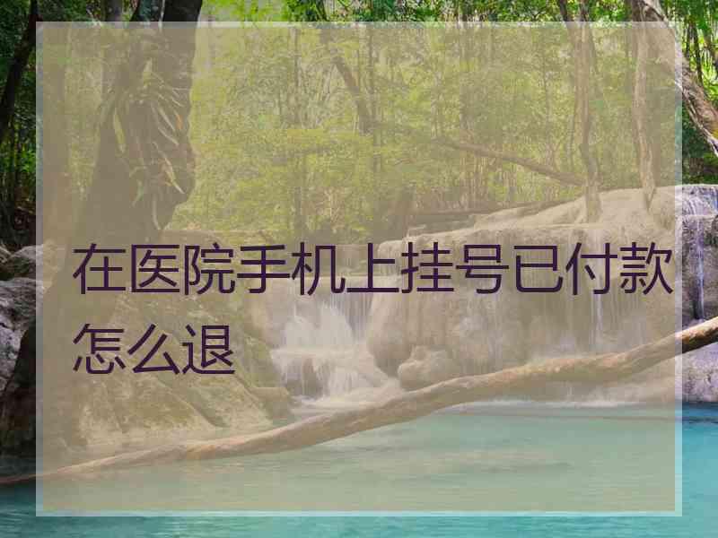 在医院手机上挂号已付款怎么退