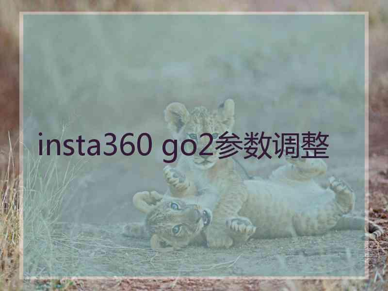 insta360 go2参数调整