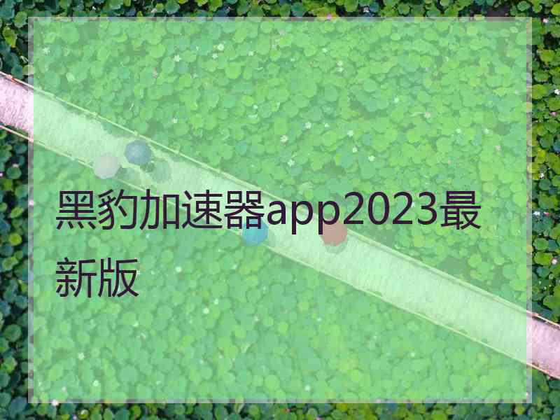 黑豹加速器app2023最新版