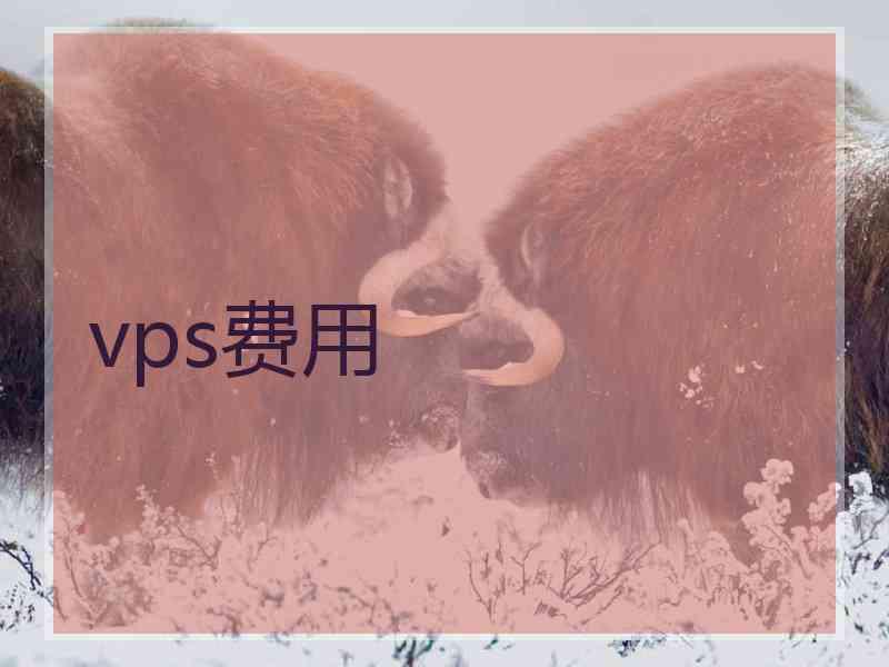 vps费用