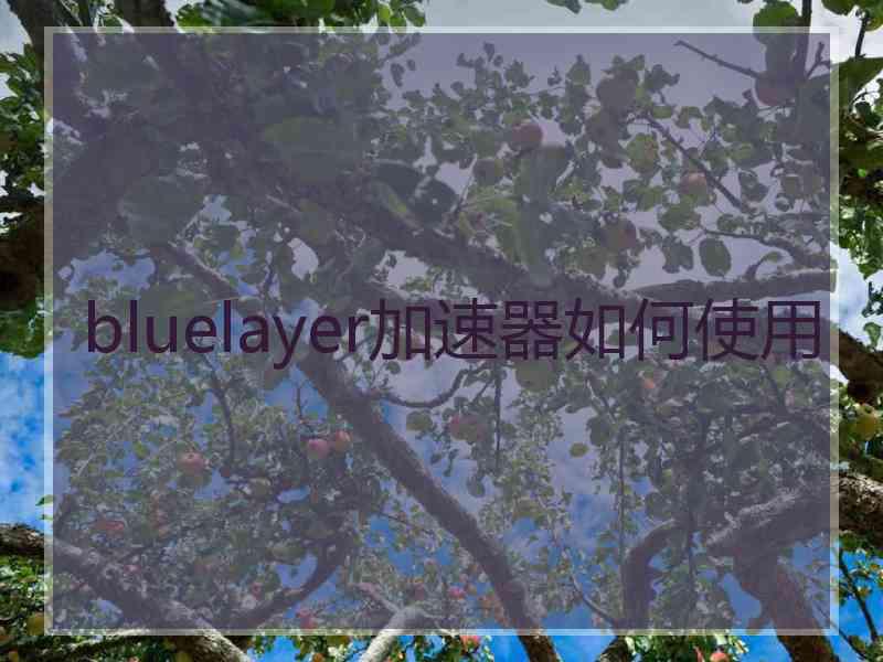 bluelayer加速器如何使用