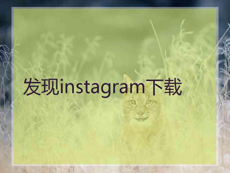 发现instagram下载