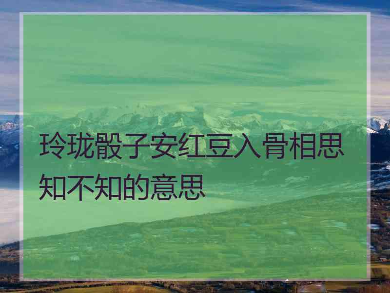 玲珑骰子安红豆入骨相思知不知的意思