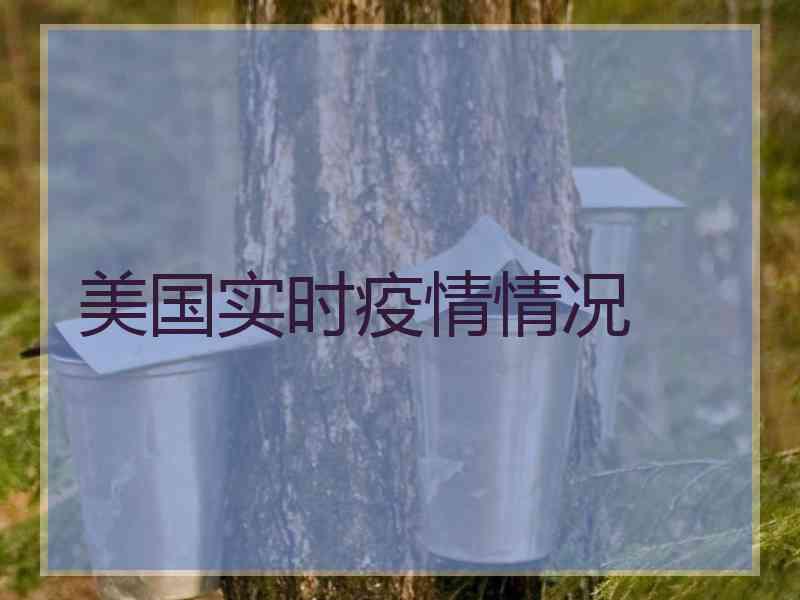 美国实时疫情情况