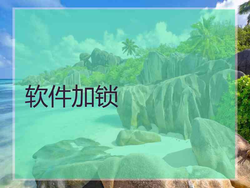 软件加锁