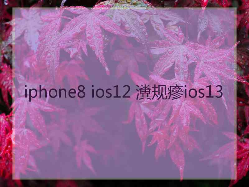 iphone8 ios12 瀵规瘮ios13