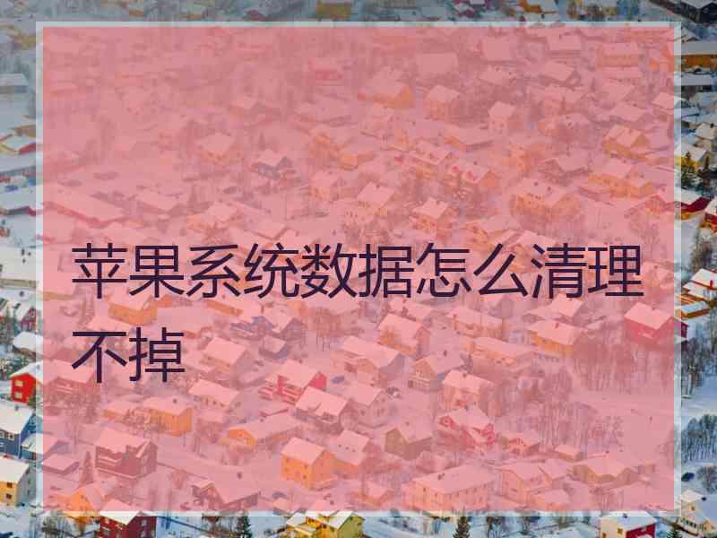 苹果系统数据怎么清理不掉