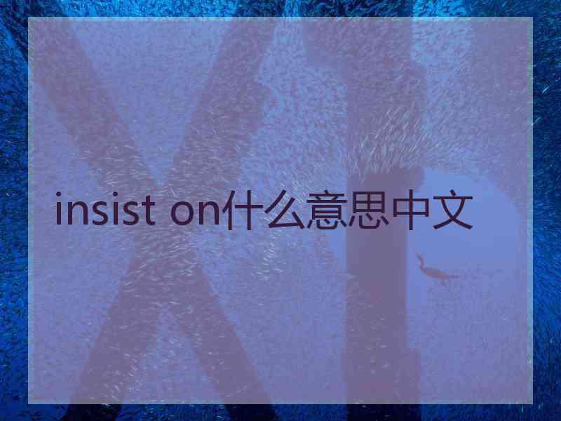 insist on什么意思中文