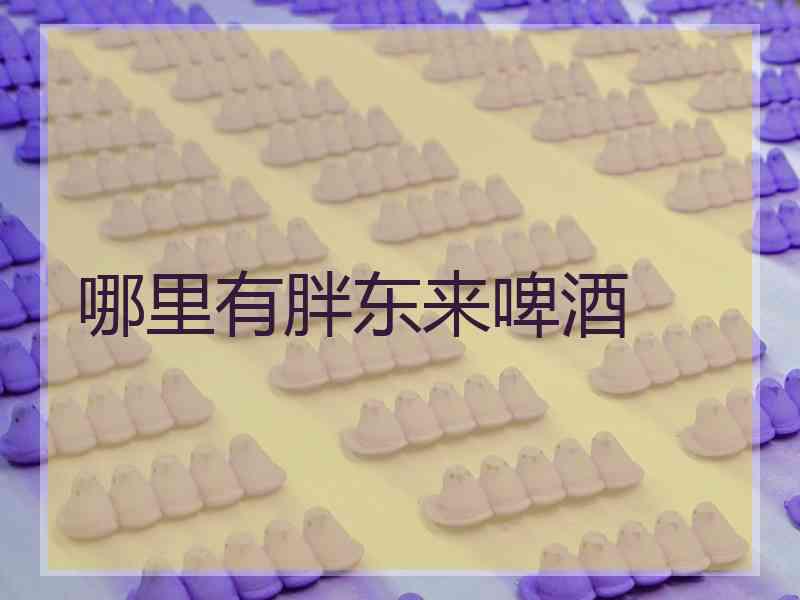 哪里有胖东来啤酒
