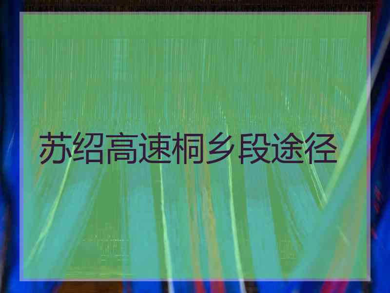 苏绍高速桐乡段途径