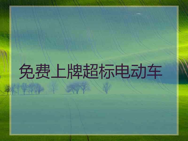 免费上牌超标电动车