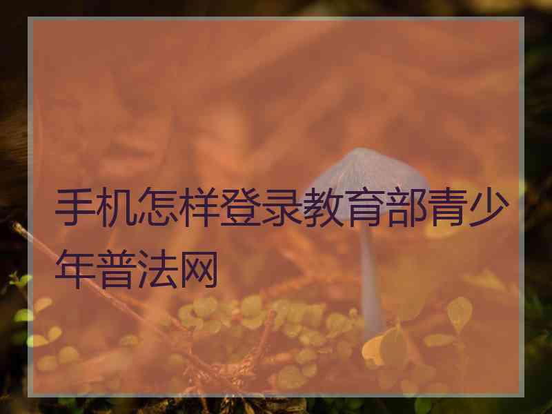手机怎样登录教育部青少年普法网