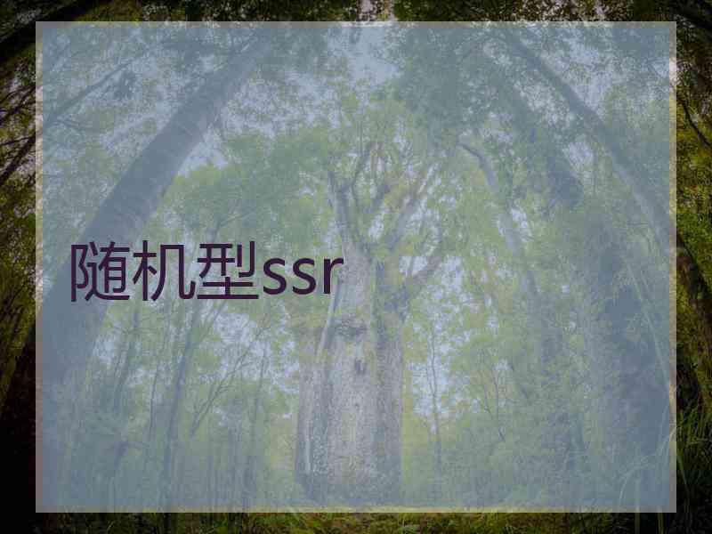 随机型ssr