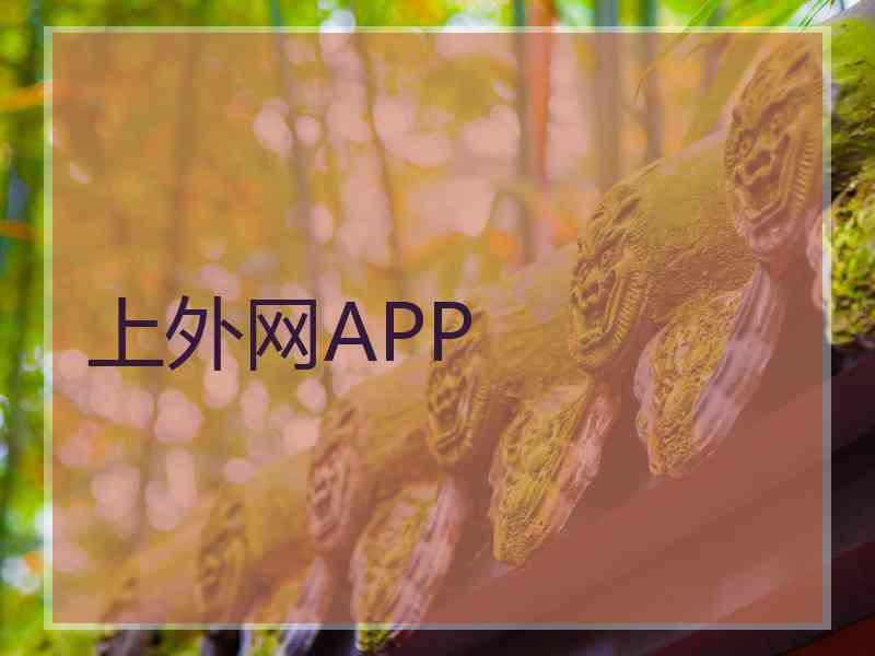 上外网APP