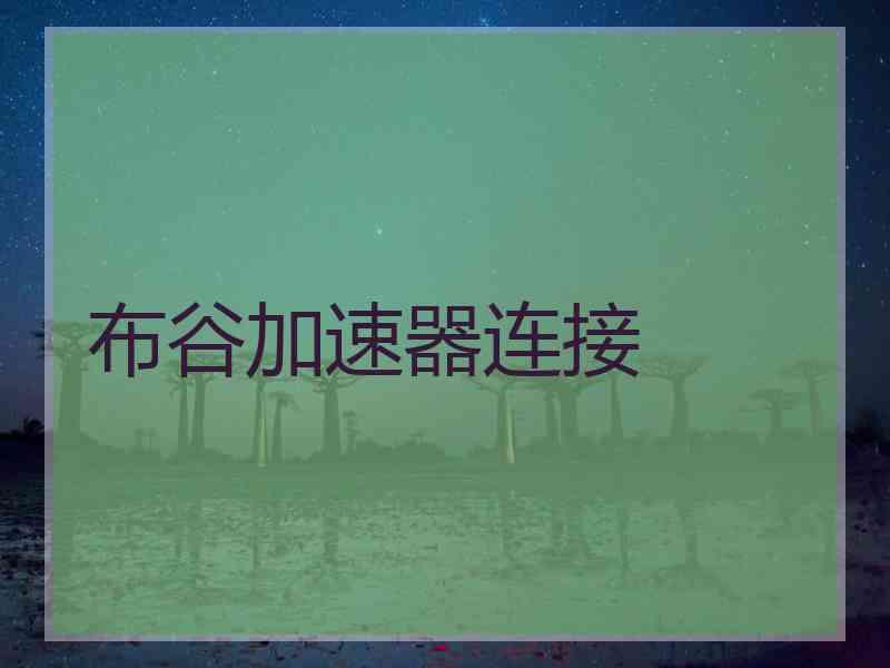 布谷加速器连接