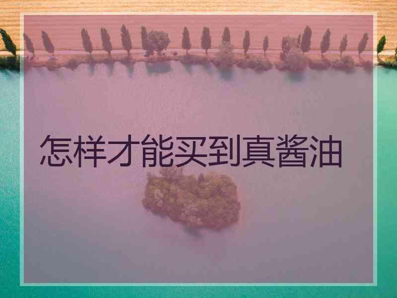 怎样才能买到真酱油
