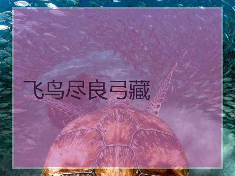 飞鸟尽良弓藏