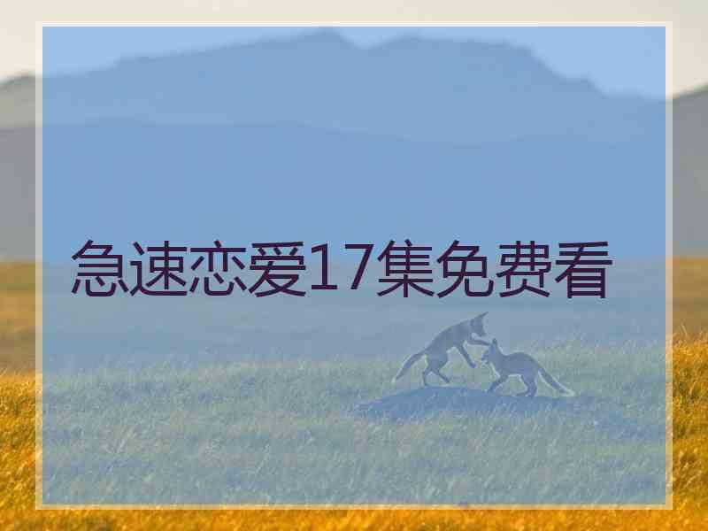 急速恋爱17集免费看