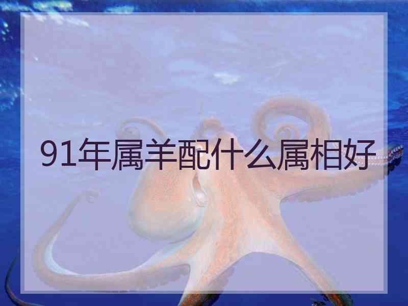 91年属羊配什么属相好