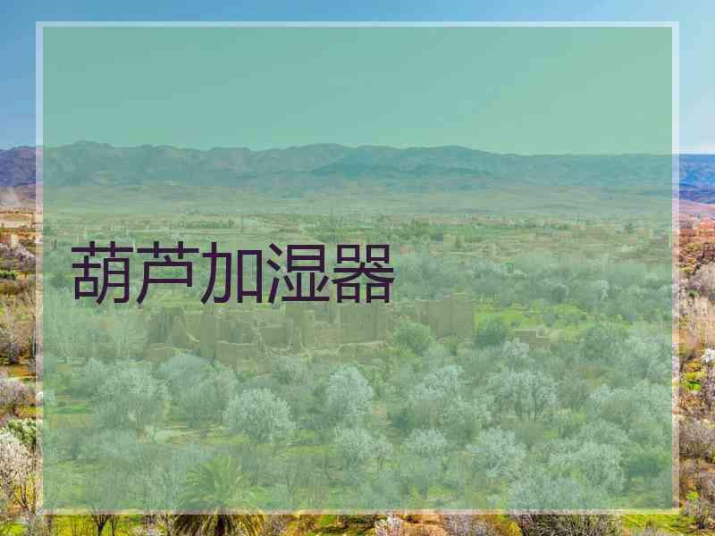 葫芦加湿器