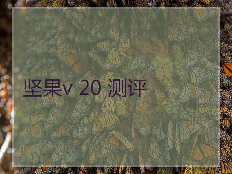 坚果v 20 测评