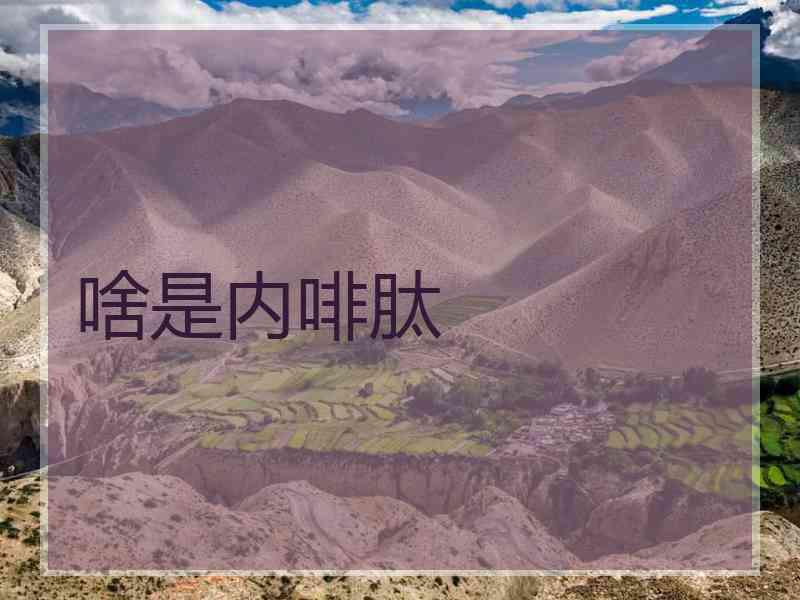 啥是内啡肽