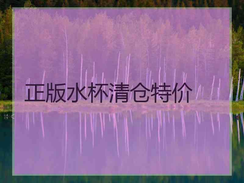正版水杯清仓特价