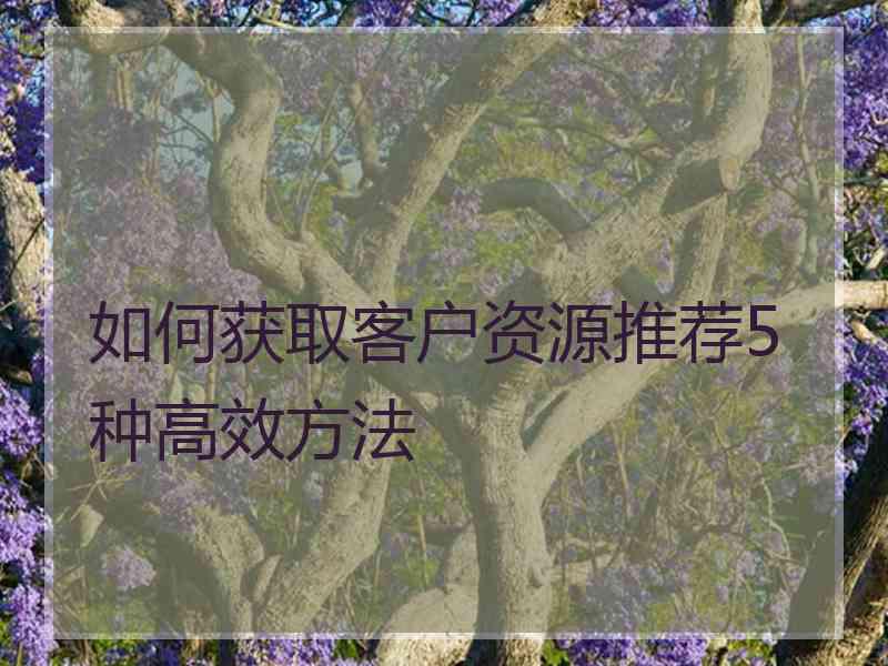 如何获取客户资源推荐5种高效方法