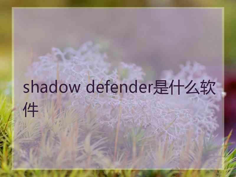 shadow defender是什么软件