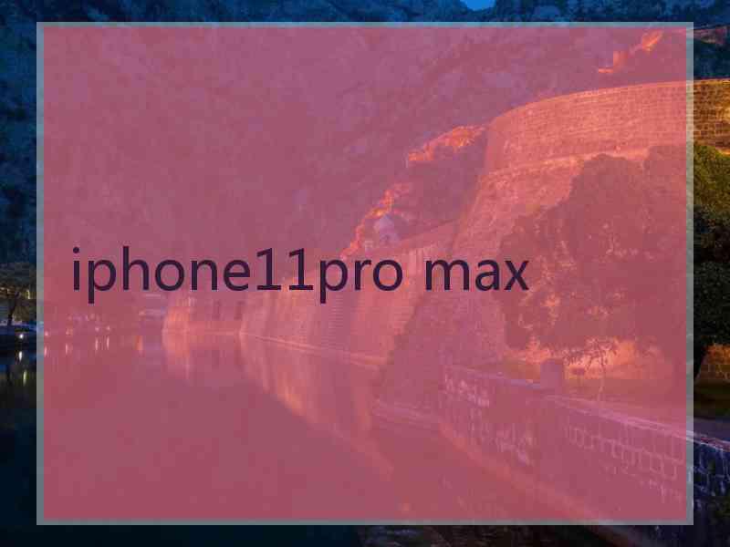 iphone11pro max