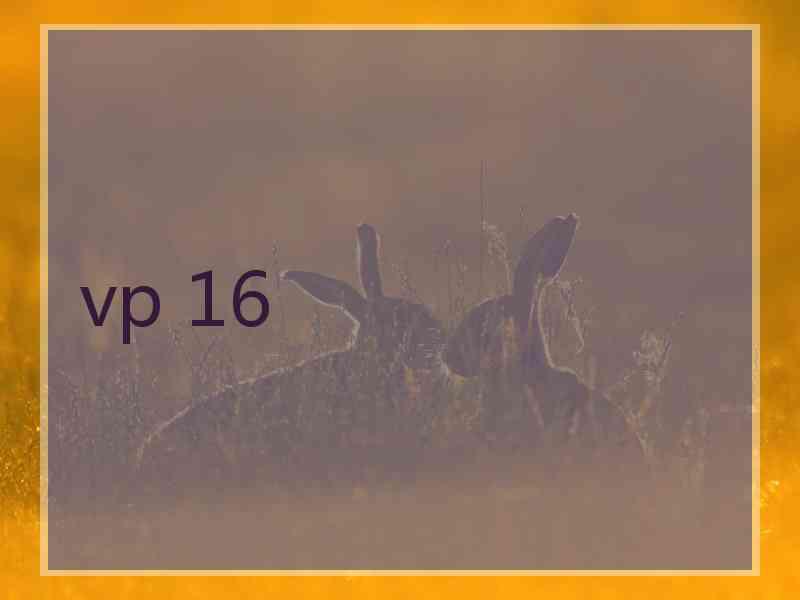 vp 16