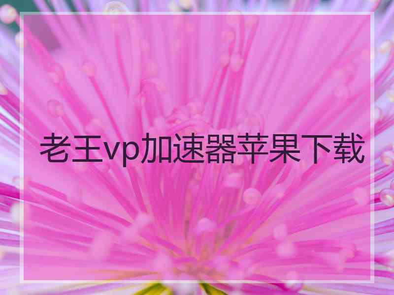 老王vp加速器苹果下载