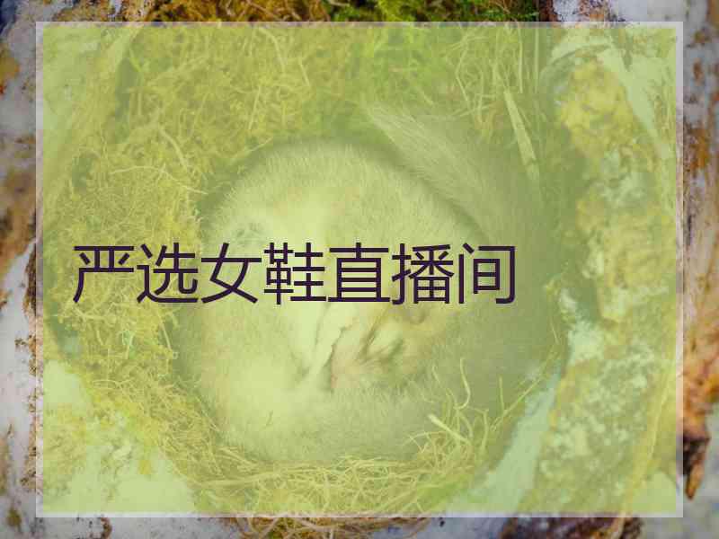 严选女鞋直播间