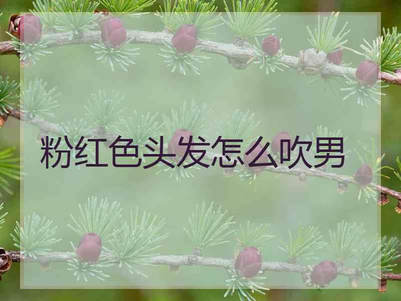 粉红色头发怎么吹男