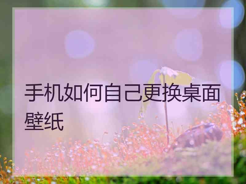 手机如何自己更换桌面壁纸