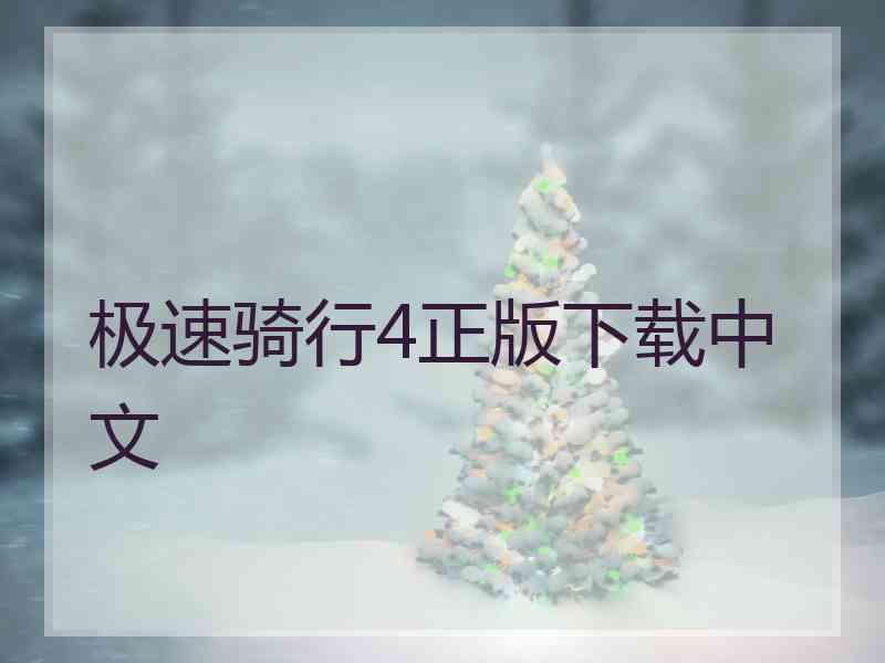 极速骑行4正版下载中文