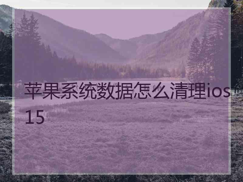 苹果系统数据怎么清理ios15