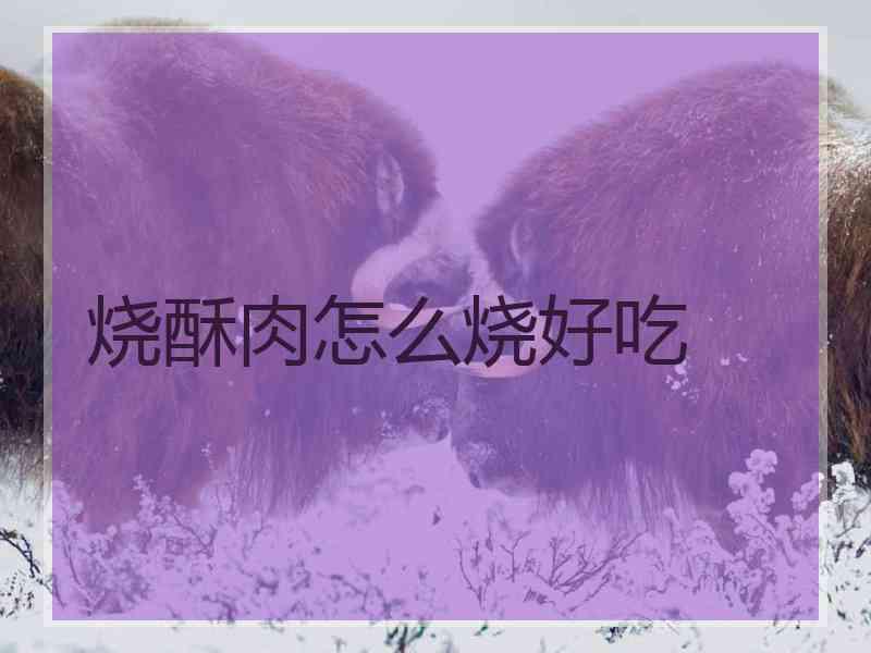 烧酥肉怎么烧好吃