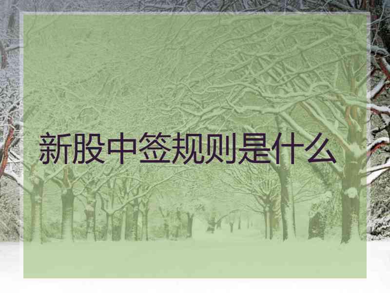 新股中签规则是什么