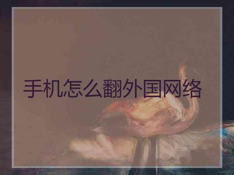手机怎么翻外国网络