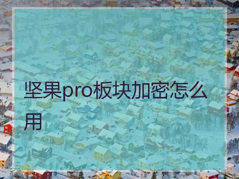 坚果pro板块加密怎么用