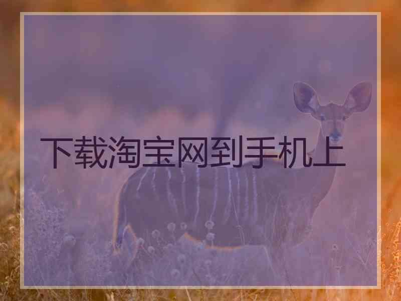下载淘宝网到手机上